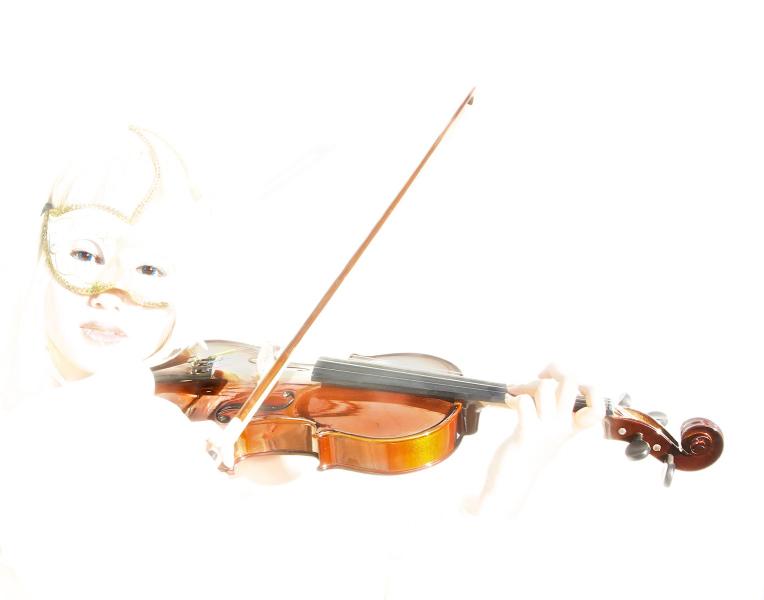 Violin