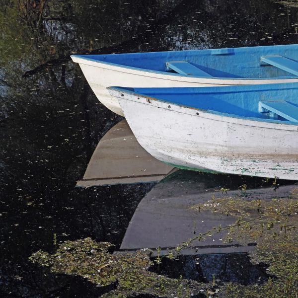Blue Boats