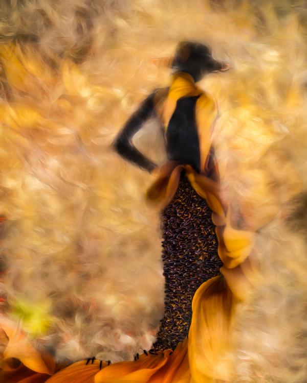 Self Portrait - Inside Out