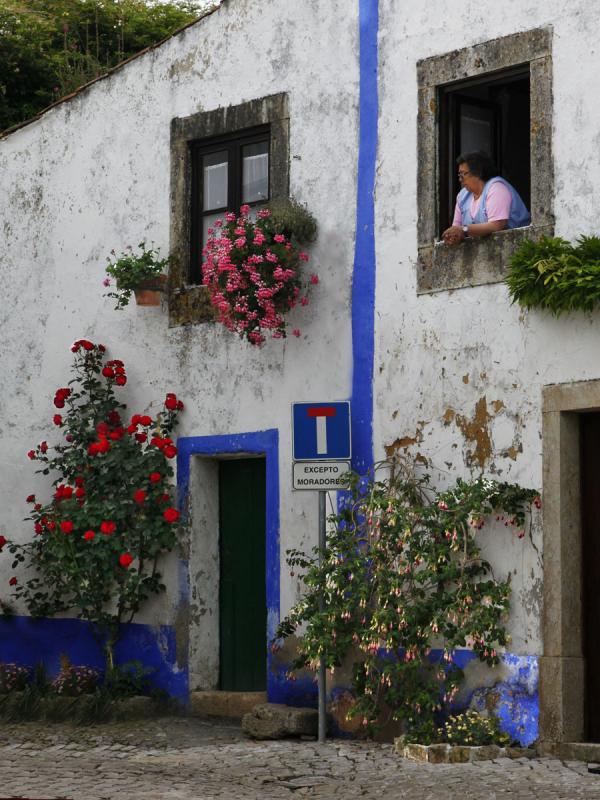 Flowering wall of Obidos, Portugal