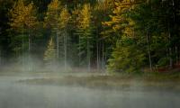Morning mist on Cabin Lake