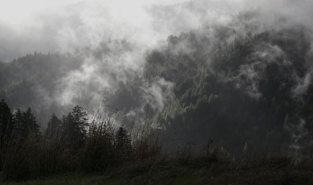 Fog rolls into the valley