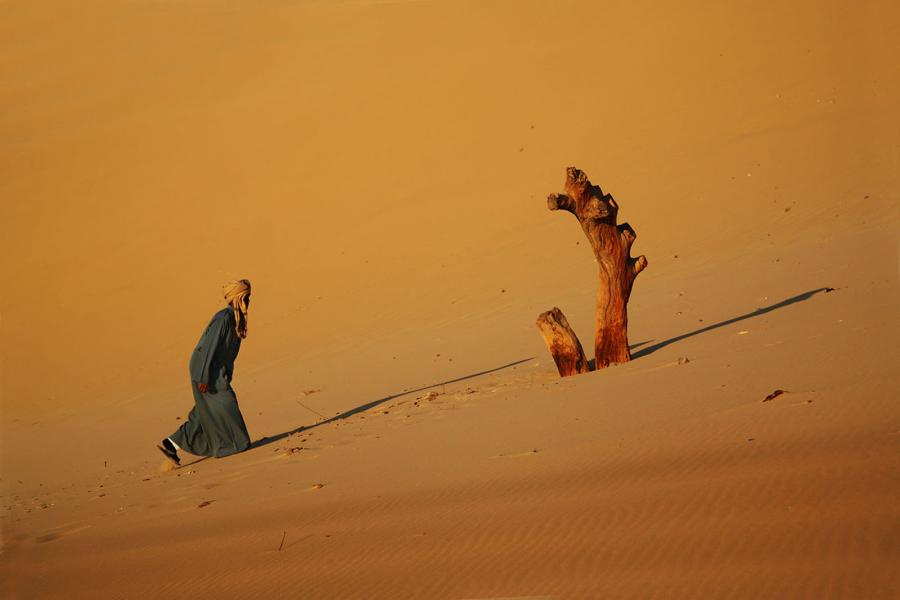 Morning walk in the Sahara