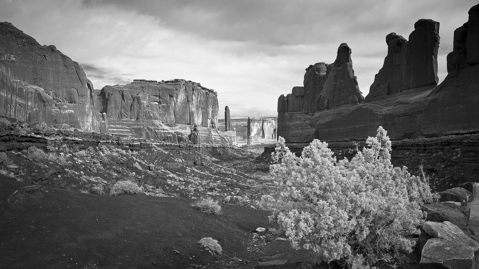 Arches National Park after the Storm