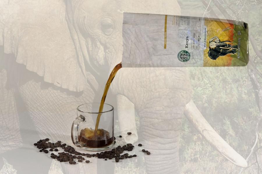 Fresh Kenya Coffee