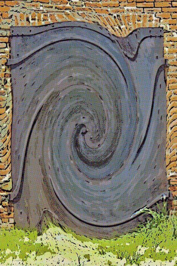 Swirling Door