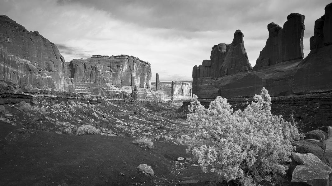 Arches National Park after the Storm
