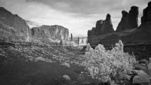 Arches National Park after the Storm