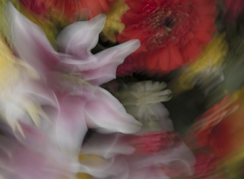 Ghostly Flowers