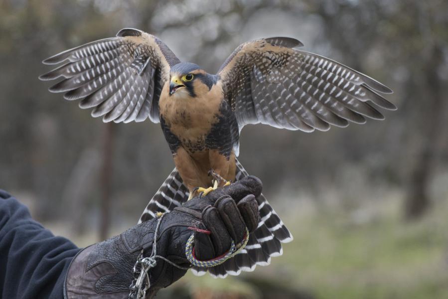 Preparing for Takeoff