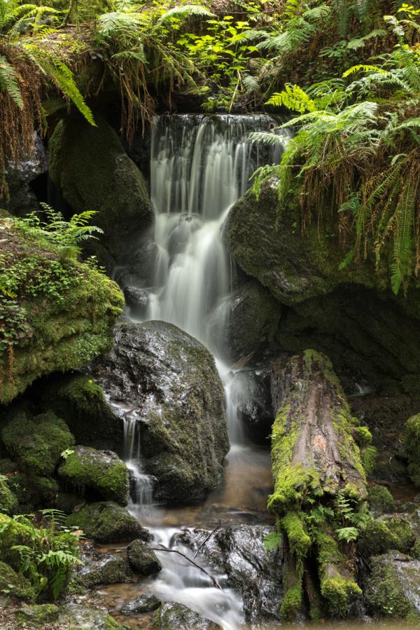 Trillium Falls