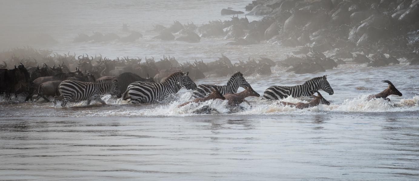 Crossing the Mara River