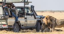 On Safari in Botswana Africa