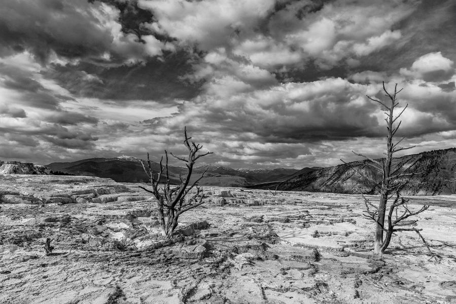 Desolation