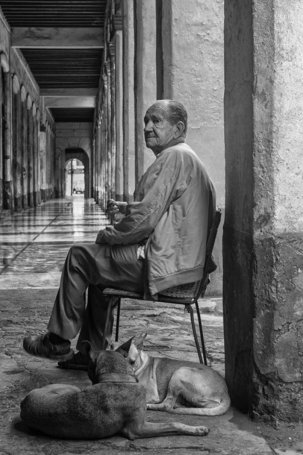 Old Man, Havana, Cuba