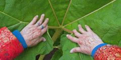Comparison of Colors and Textures - Hands on a Large Leaf