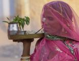 Indian Lady In Marriage Procession