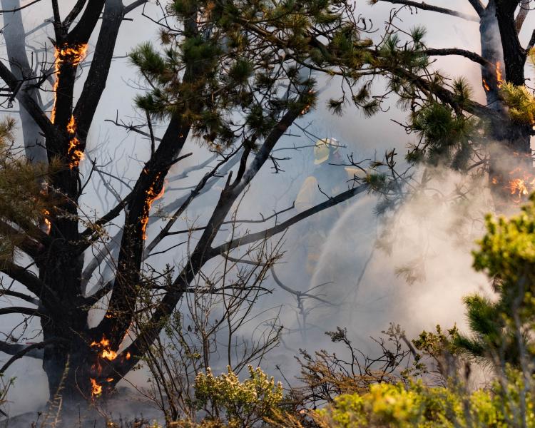 Almost obscured by the smoke, a firefighter works to extinguish a Pacifica brush fire in steep terrain, 27 Sept 2017