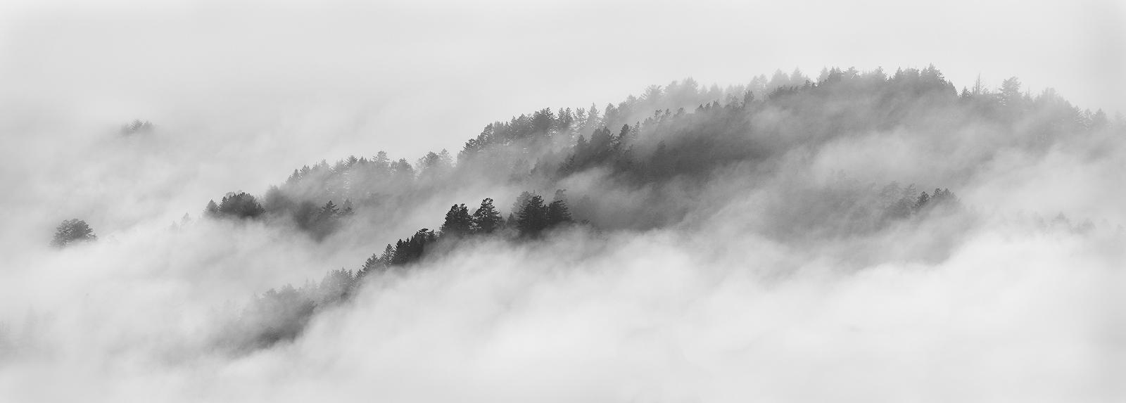 Chinese Scroll Painting