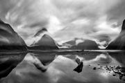 Rainy Day at Milford Sound, New Zealand