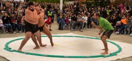At this demonstration of Sumo, a traditional Japanese sport with a history of many centuries, the American Sumo wrestler attempts to force the Mongolian Sumo wrestler from the circular ring.