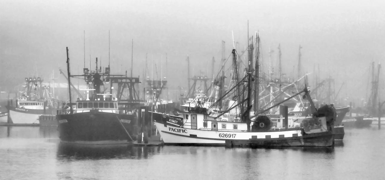 Foggy Day at Harbor, Newport, Oregon