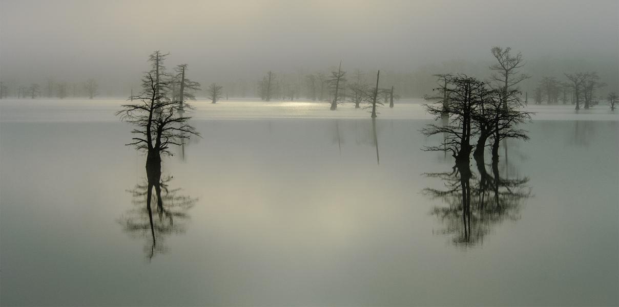 Morning Light and Reflections