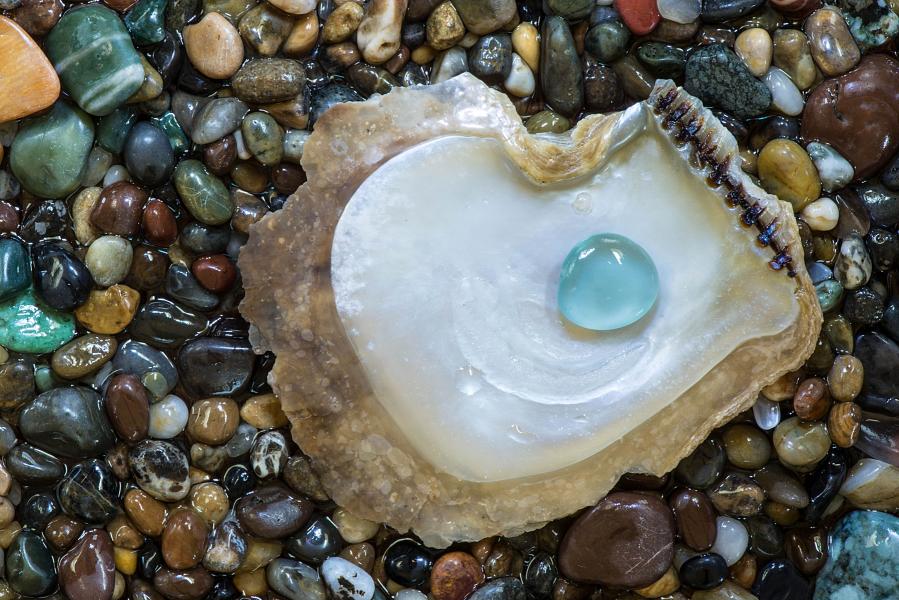 Beach Pearl