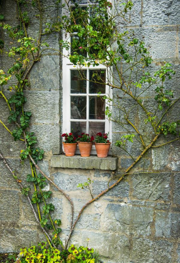 Three Flower Pots