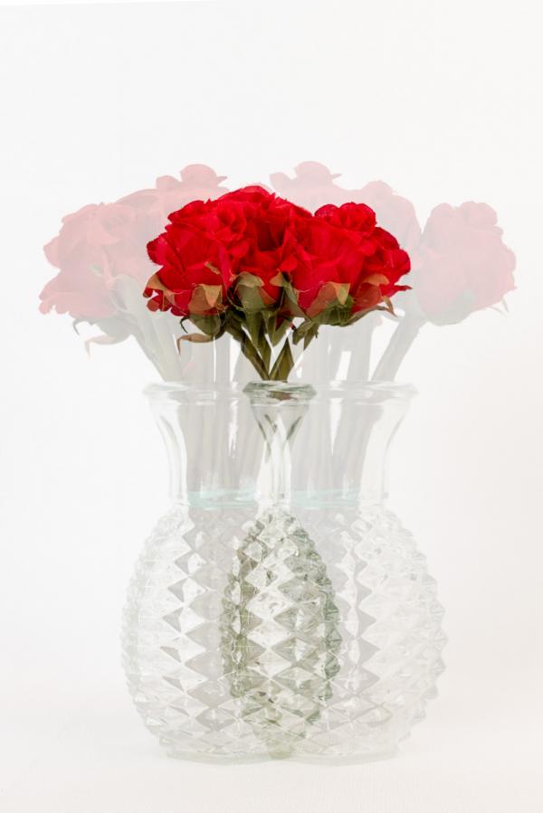 A startling new bouquet created by an in-camera double exposure. (No Photoshopping and no local edits)