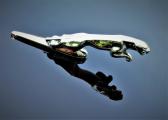 Jag