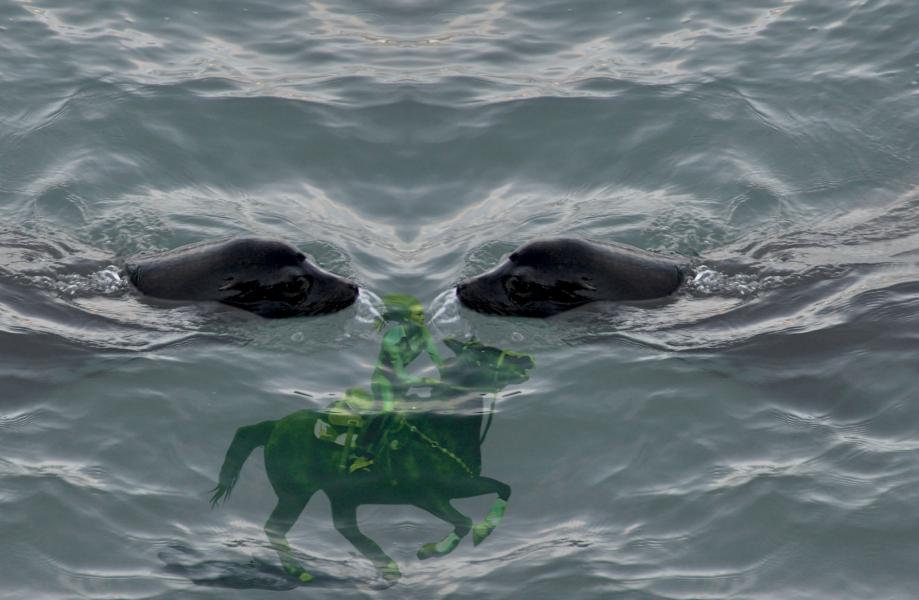 George and His Twin Watch the Sea Horse Race