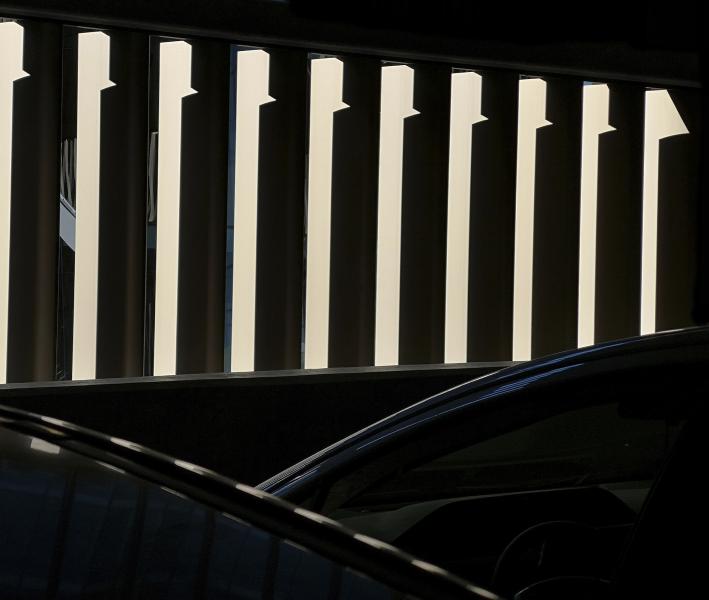 Nine and a half Geese