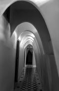 Hallway at Casa Batllo