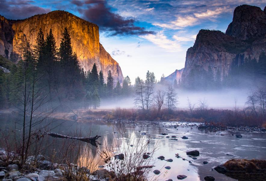 Ground Fog in Yosemite