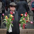 Free tulips for all in Union Square, in honor of American Tulip Day, March 2, 2019.