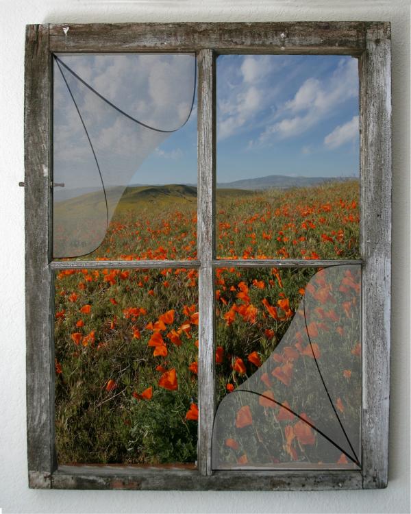 Portable Window with a View