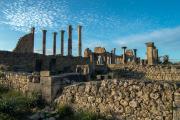 Roman Ruins in Volubilis, Morocco