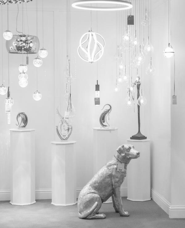 A wary dog guards a lighting store late at night