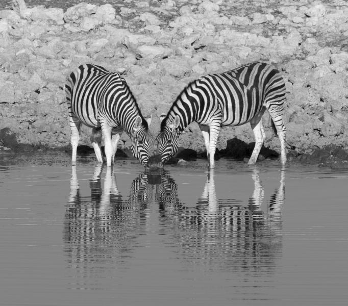 Reflecting on a drink