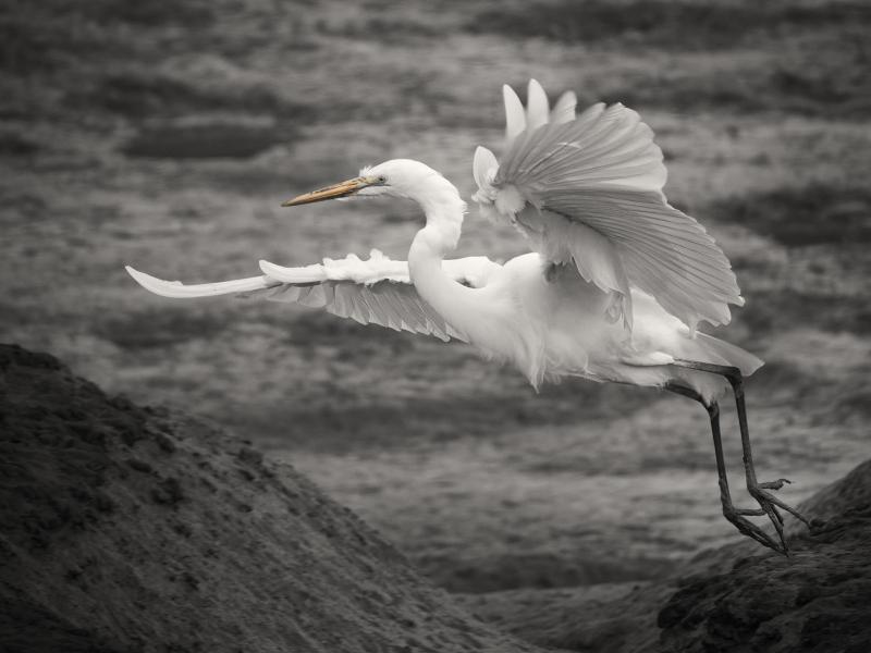 A Great Leap Forward.