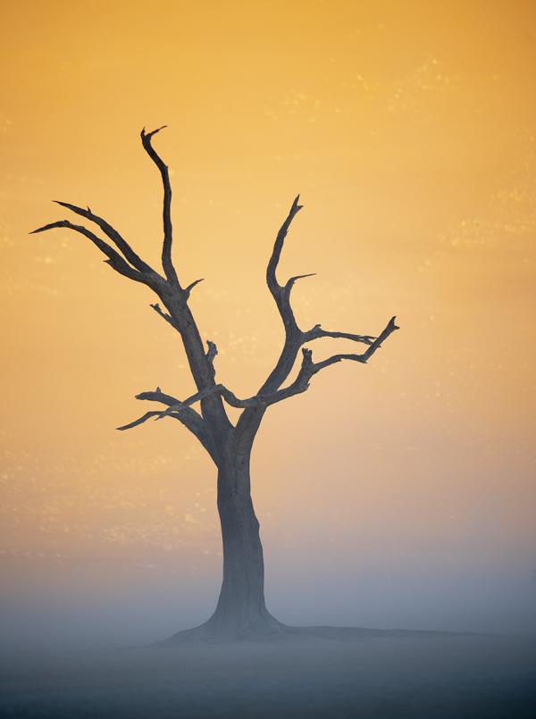 Deadvlei in a Sandstorm