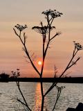 Sunset at Cayote Point San Mateo