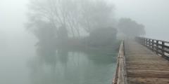 This Way There Be Dragons  Anza Lagoon Burlingame in heavy fog