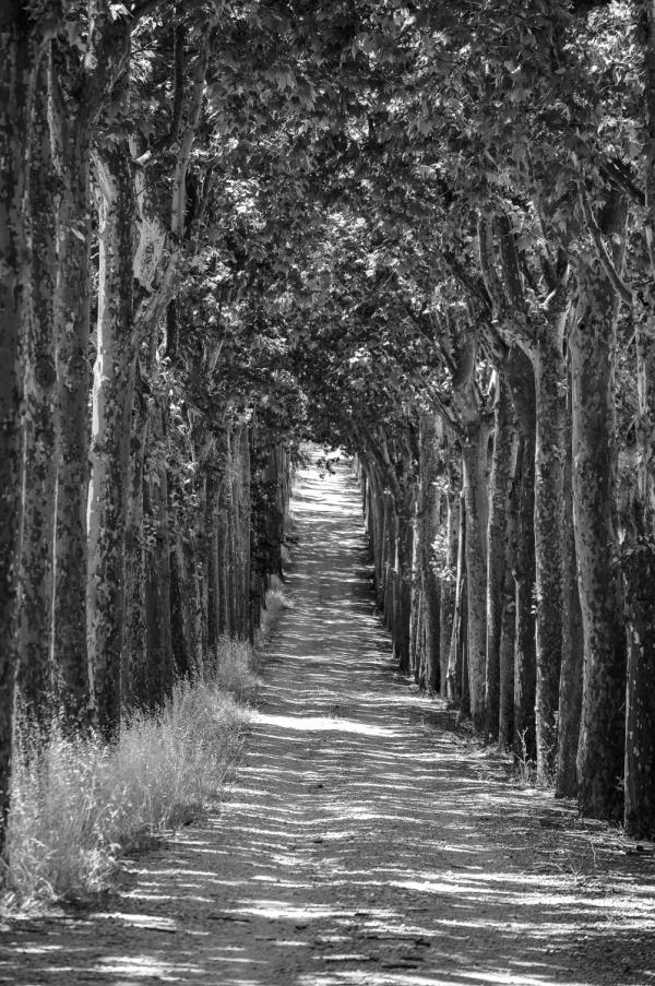 A resting place on a summer day