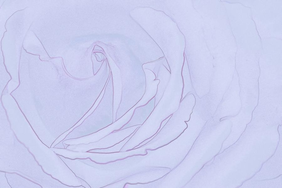 Hint of a rose