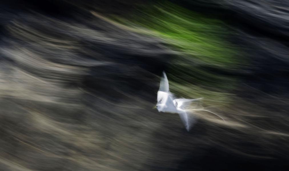 Breaking the sound barrier