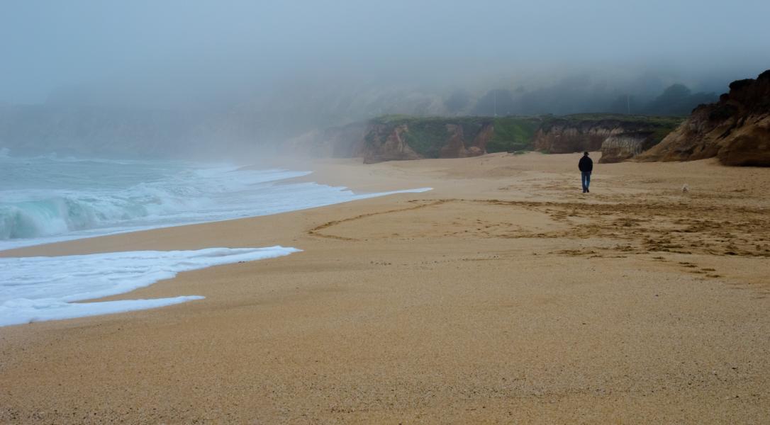 A walk on a misty morning