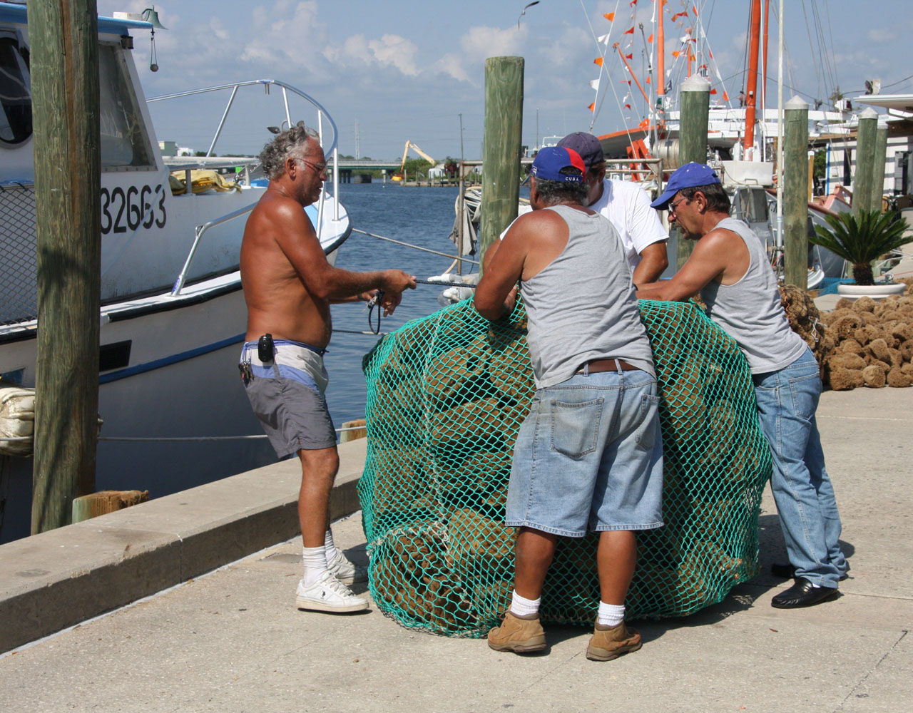 Fishermen pack sponges for shipment- Tarpon Springs, FL