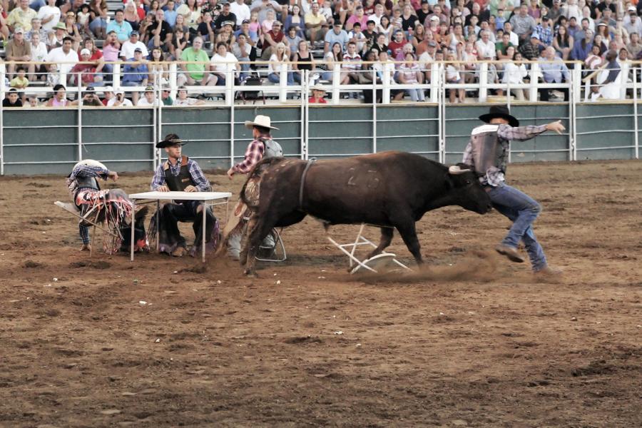 Trading a Seat at the Bull Poker Table for One on the Bull's Horns
